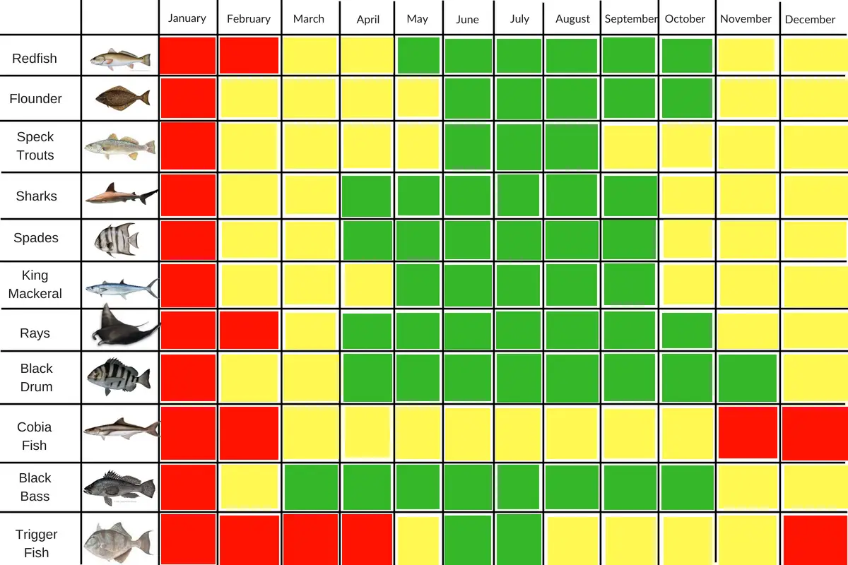 Florida Fishing Seasons Chart